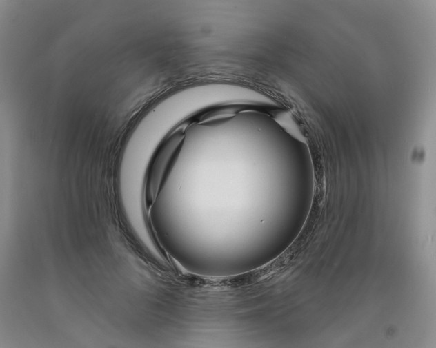 X0000091990696200709201448