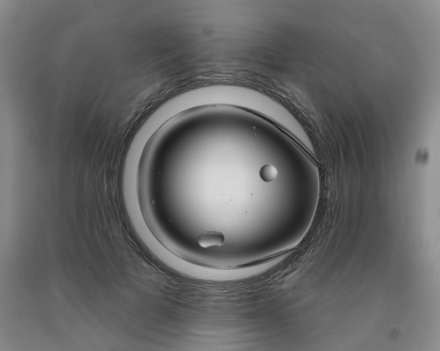 X0000091990697200709201448
