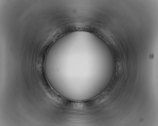 X0000091990698200709201447