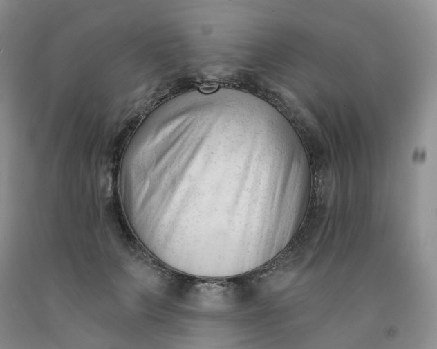 X0000091990703200709201447