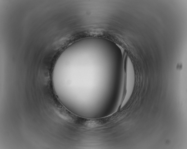 X0000091990704200709201447