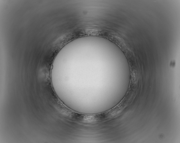 X0000091990705200709201447