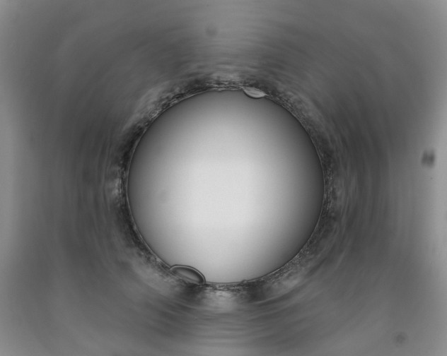 X0000091990706200709201447