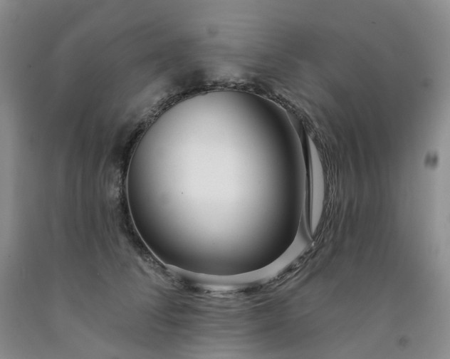 X0000091990708200709201447