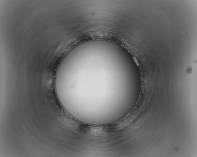 X0000091990709200709201447