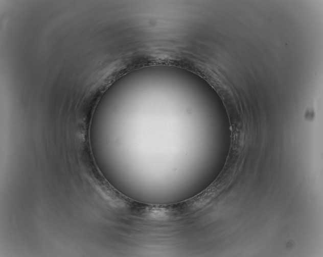 X0000091990710200709201447