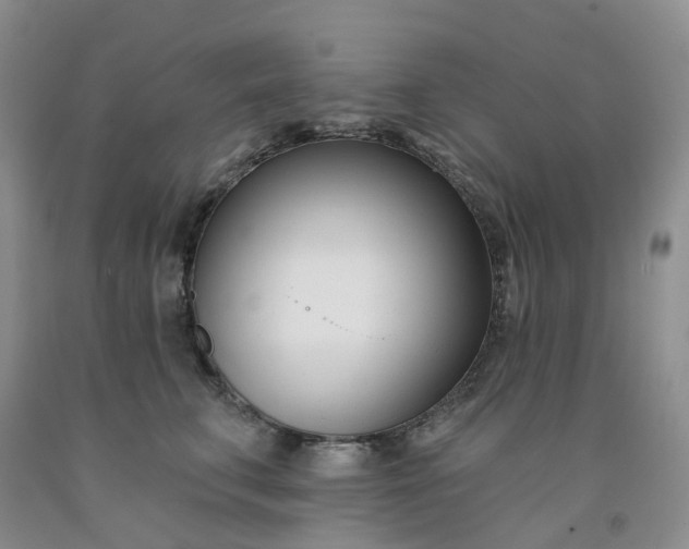 X0000091990711200709201447