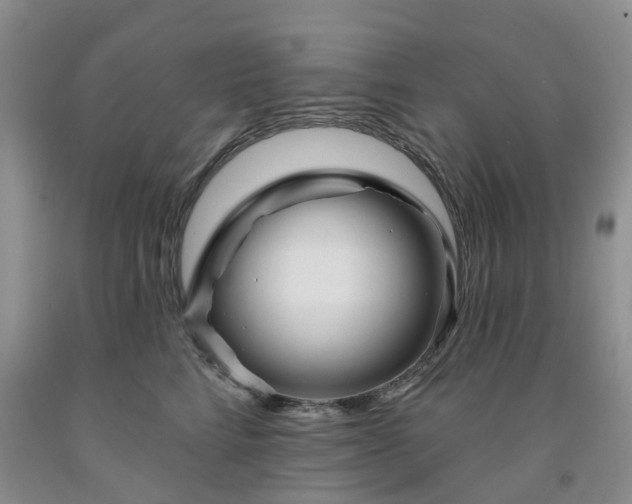 X0000091990712200709201447