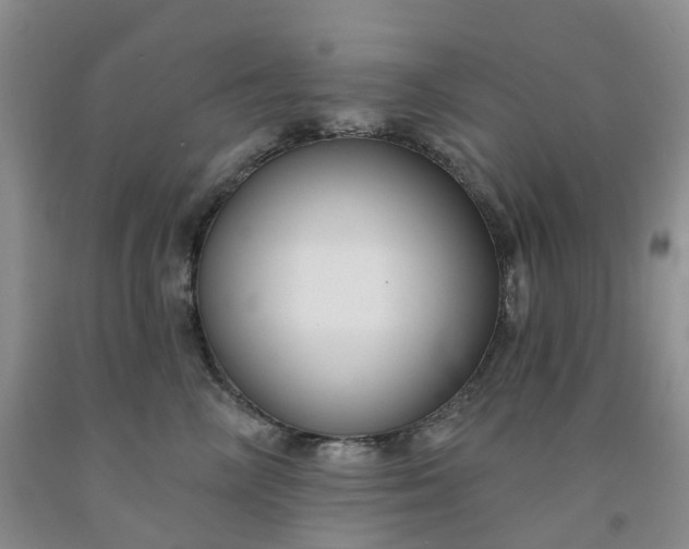 X0000091990714200709201447