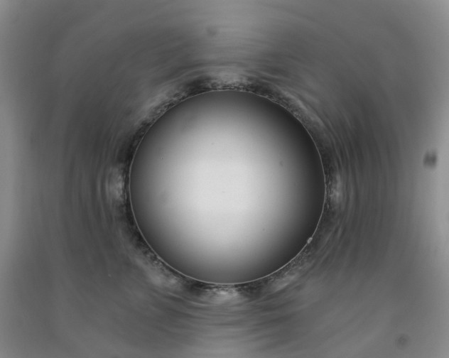 X0000091990715200709201447