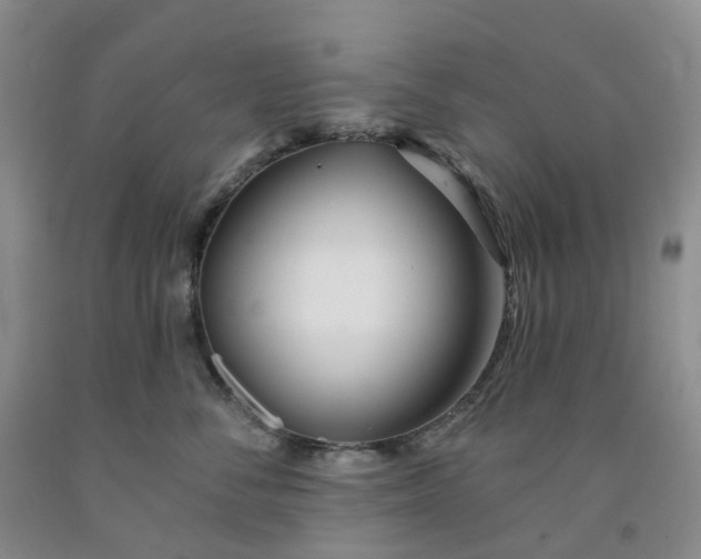 X0000091990716200709201447