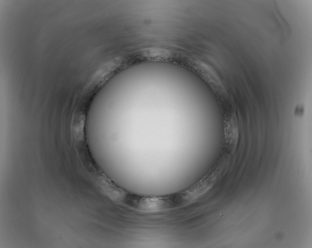 X0000091990717200709201447