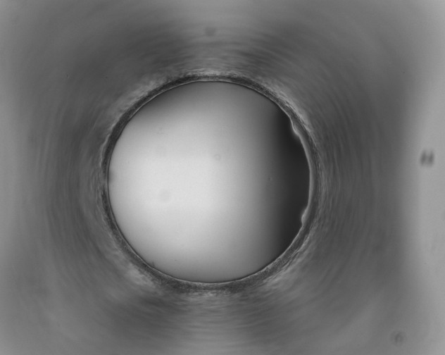 X0000091990721200709201447