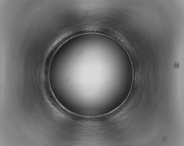 X0000091990722200709201447