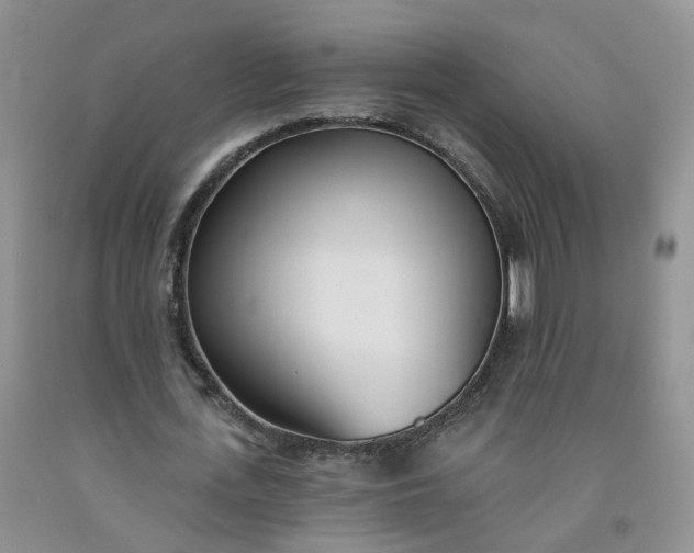 X0000091990723200709201447
