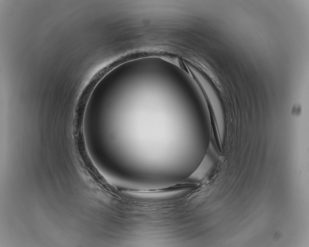 X0000091990724200709201447