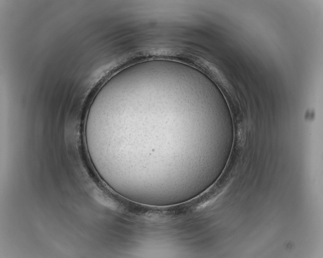 X0000091990725200709201447
