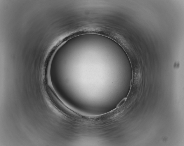 X0000091990726200709201447