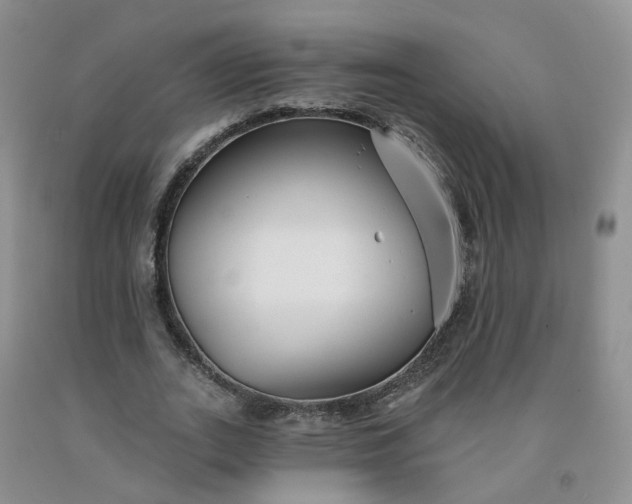 X0000091990727200709201447