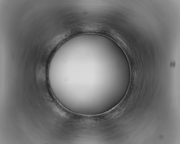 X0000091990729200709201447