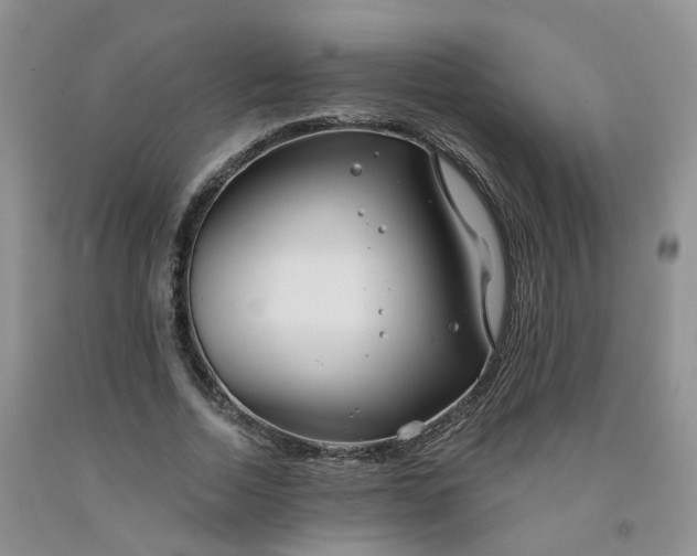 X0000091990730200709201447