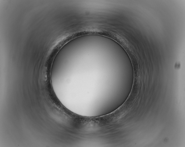 X0000091990731200709201447