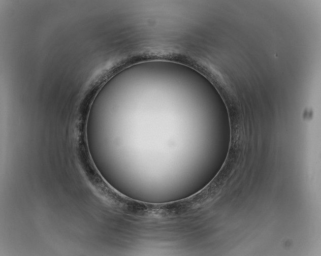 X0000091990736200709201447
