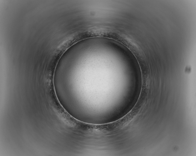 X0000091990737200709201447