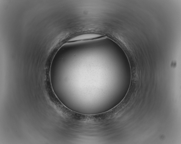 X0000091990738200709201447