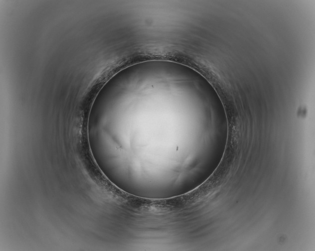 X0000091990739200709201447
