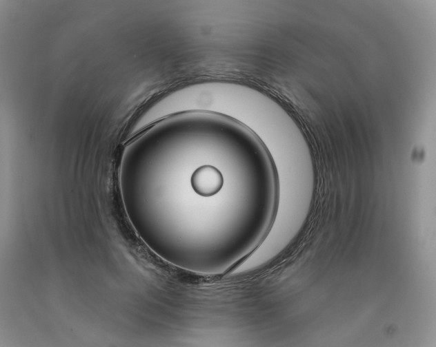 X0000091990744200709201447