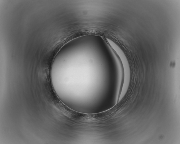 X0000091990747200709201447