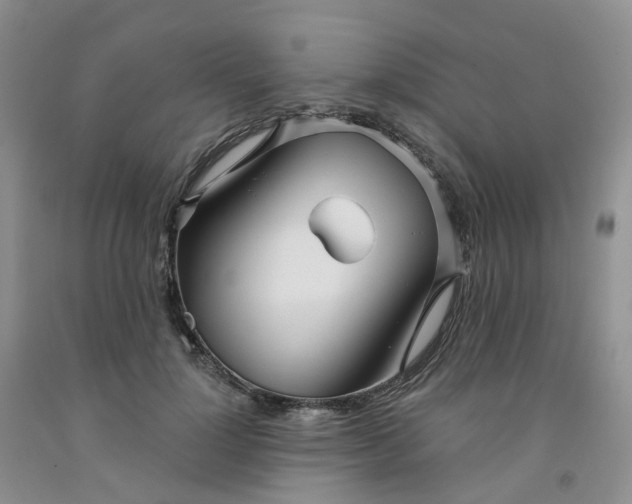 X0000091990748200709201447