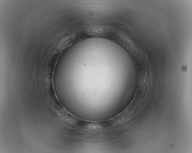 X0000091990749200709201447