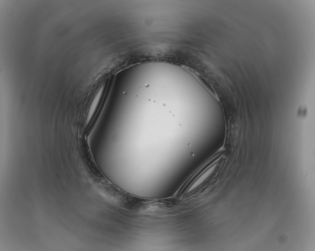 X0000091990750200709201447