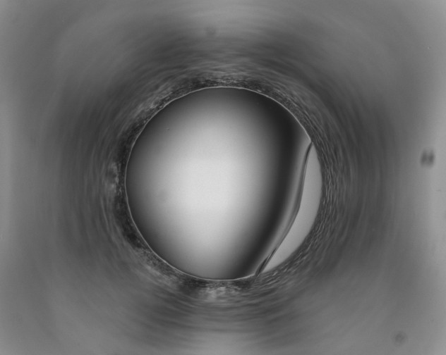 X0000091990752200709201447