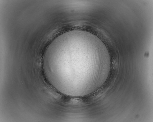 X0000091990753200709201447
