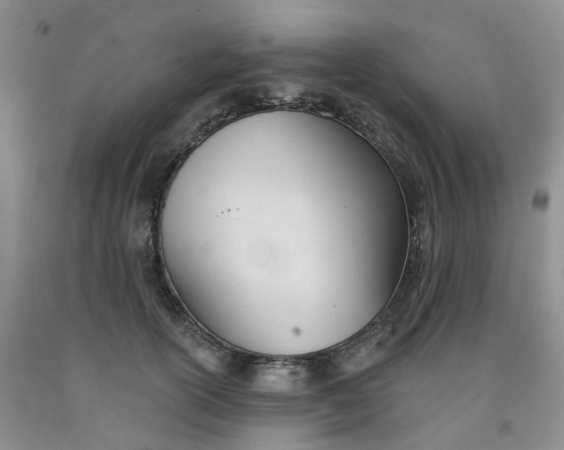 X0000091990754200709201447