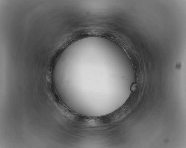 X0000091990755200709201447