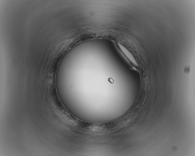 X0000091990756200709201447