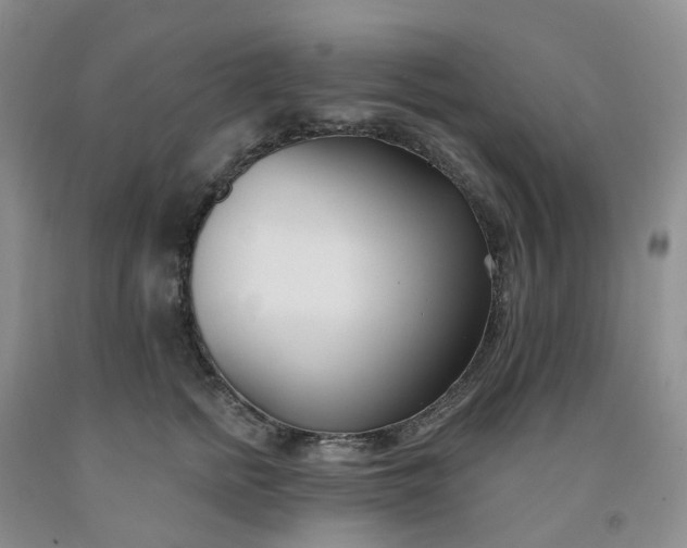 X0000091990758200709201447