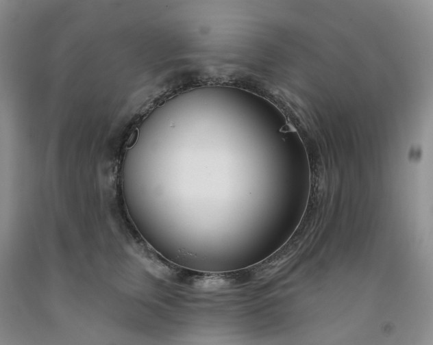 X0000091990759200709201447