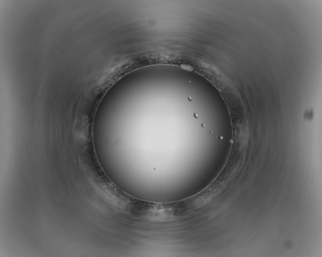 X0000091990760200709201447
