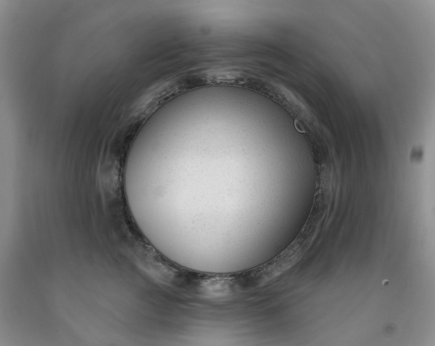 X0000091990761200709201447