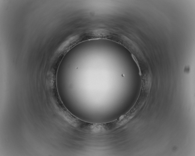 X0000091990762200709201447