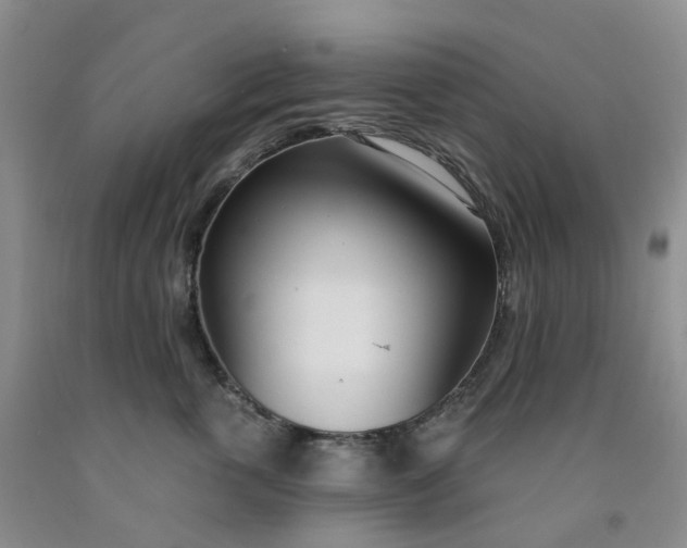 X0000091990763200709201447