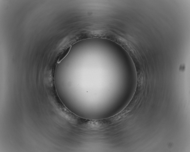 X0000091990764200709201447