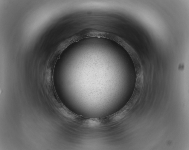 X0000091990765200709201447