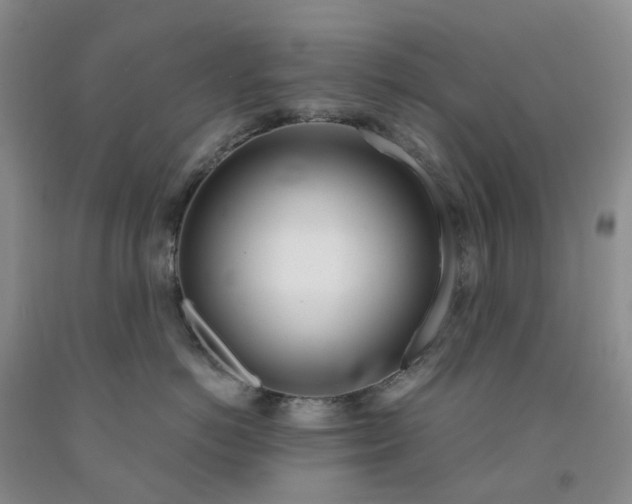 X0000091990766200709201447