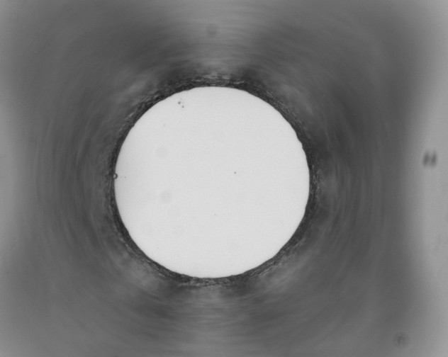 X0000091990769200709201447